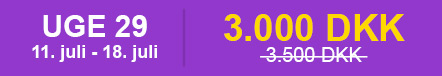 Bondegårdsferie Uge 29